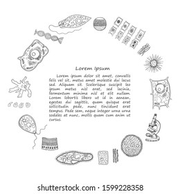 Illustration with hand drawn biology images and other elemets. Science collection. Vector.