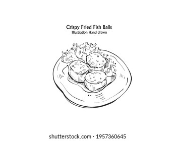 Illustration  hand drawn Crispy Fried Fish Balls on Vegetable Salad, outline.