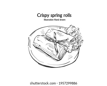 Illustration hand drawn Crispy spring rolls Chinese food on the vegetable salad, outline.

