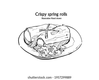 Illustration hand drawn Crispy spring rolls Chinese food on the vegetable salad, outline.

