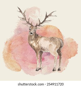 Illustration of hand drawn deer with watercolor background