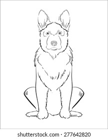 Illustration of hand drawn dog isolated on white background