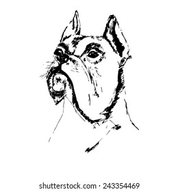 Illustration of hand drawn dog. vector