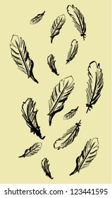 Illustration of hand drawn feathers on beige background
