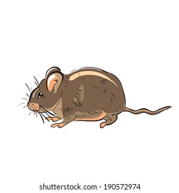 Illustration of hand drawn funny rat