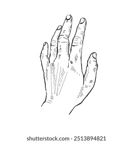 Illustration hand drawn Human hand Action sketch ink style on white background.