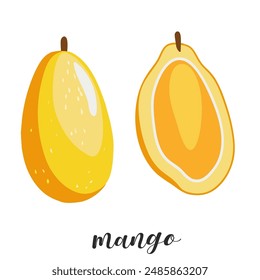 Ilustración de mango dibujado a mano, en rodajas y entero aislado en blanco. Fruta madura de verano.