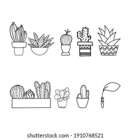 Illustration hand drawn Set Cactus , Illustration Vector EPS 10 