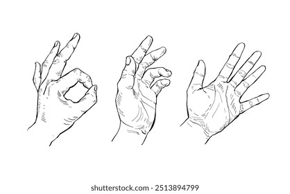 Ilustración Dibujado a mano Set Mano humana Acción?estilo de tinta de boceto sobre fondo blanco.