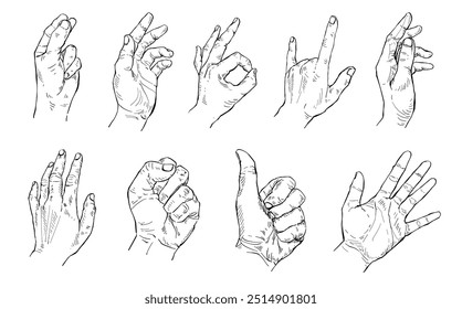 Illustration Hand drawn Set Human hand Action sketch ink style on white background.