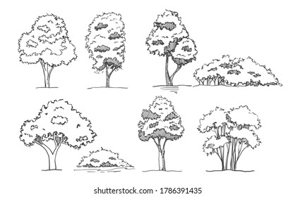 Illustration hand drawn Set Shrub, perennials ,Sketch tree
 outline vector eps10.