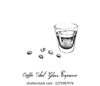 Illustration Hand Drawn Sketch of Classic Style Espresso in A Shot Glass with Roasted Coffee Bean Isolated on White Background.