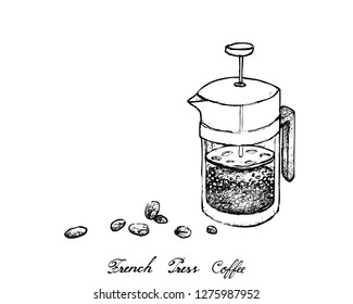 Illustration Hand Drawn Sketch of Coffee Beans with French Press Pot or Cafetiere a Piston, A French Traditional Coffee Maker.