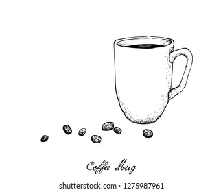 Illustration Hand Drawn Sketch of Coffee Mug with Roasted Coffee Bean Isolated on White Background.
