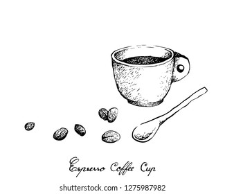 Illustration Hand Drawn Sketch of A Cup of Espresso Coffee with Roasted Coffee Bean Isolated on White Background.