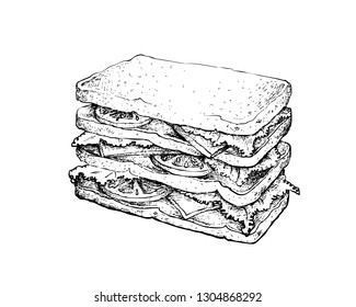 Illustration Hand Drawn Sketch of Delicious Homemade Freshly Sandwich with Bacon, Tomatoes, Lettuce and Cheese Isolated on White Background.