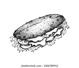 Illustration Hand Drawn Sketch of Delicious Homemade Freshly Baguette Sandwich with Ham, Tomatoes, Lettuce, Cucumber and Cheese Isolated on White Background.