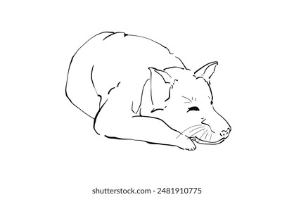 Illustration Hand drawn, Sleeping Dog Cute, Outline On white background .