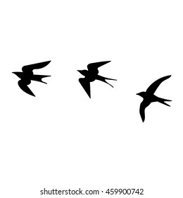 Illustration hand drawn swallows isolated on white background / vector eps 10
