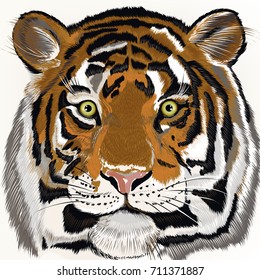 Illustration with hand drawn tiger