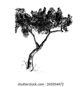 Illustration of hand drawn tree. Vector