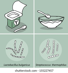 Illustration Of Hand Drawn Yogurt Cup And Microbial