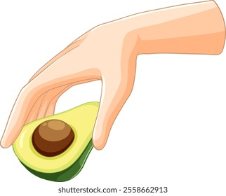 Illustration of a hand holding an avocado