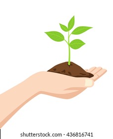 Illustration of a hand holding a dirt and young tree