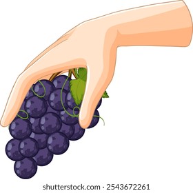 Ilustración de una mano sosteniendo uvas moradas