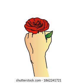 Illustration hand holding rose flower design vector