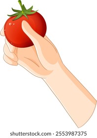 Illustration of a hand holding a tomato