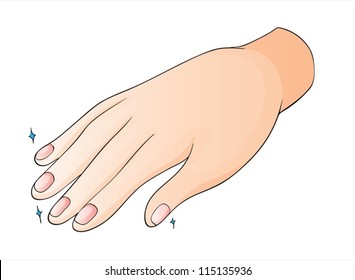 illustration of a hand on a white background