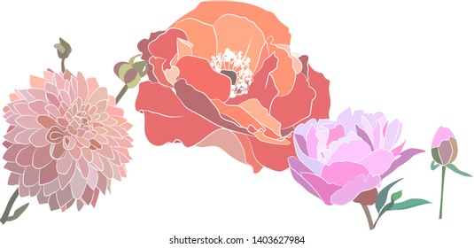 Illustration of handdrawn beautiful flowers