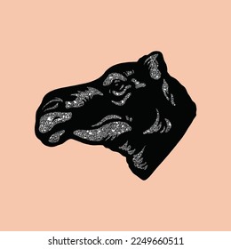 Illustration of a hand-drawn close-up camel face with shading 