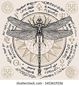 Illustration of a hand-drawn dragonfly on an old abstract illegible text written in a circle with magical inscriptions and symbols. Vector banner in retro style