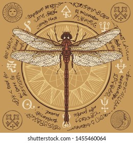 Illustration of a hand-drawn dragonfly on an old abstract illegible text written in a circle with magical inscriptions and symbols. Vector banner in retro style