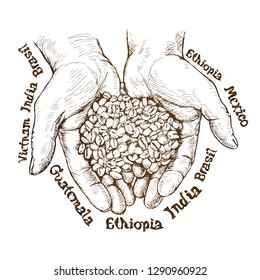 Illustration of hands with coffee beans lettering style engraving vector