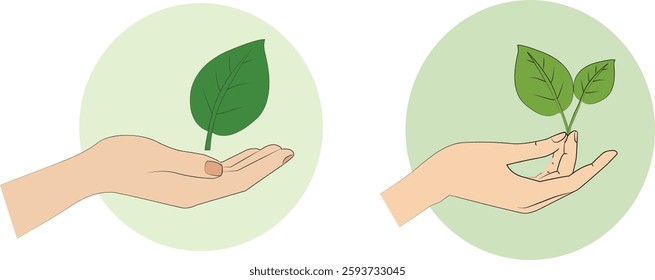 Illustration of hands gently holding leaf and sprout. Symbolizing nature, growth, and nurturing life