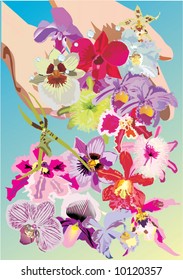 illustration with hands holding flowers