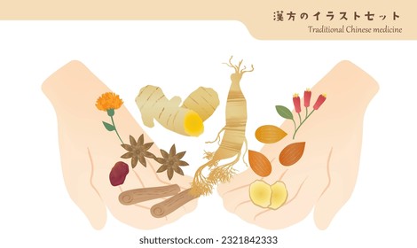 An Illustration of hands holding a set of Chinese traditional herbal medicine materials. The background is transparent.