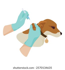 Illustration of hands of medical staff performing vaccination on dog, ensuring proper technique and safety during procedure in veterinary clinic