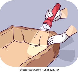 Illustration of a Hands Wearing Gloves Using Flashlight Inspecting Pet Dog or Cat Bed for Fleas