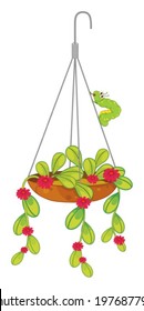 Illustration of a hanging flowering plant on a white background