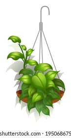 Illustration of a hanging green plant on a white background