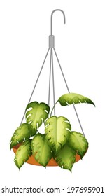 Illustration of a hanging green plant on a white background