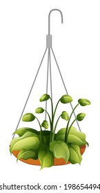 Illustration of a hanging green plant on a white background