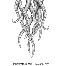 Illustration of hanging tentacles in a vintage style