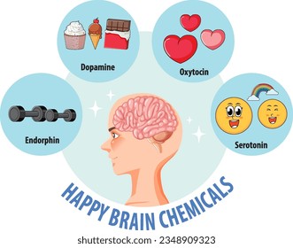 Illustration of happy brain chemicals in a healthy human brain
