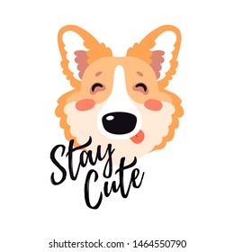 Illustration with happy Corgi dog, text Stay cute. Funny lettering childish design, kid background element for room birthday decor, baby shower invitation card, t-shirt print, positive emotions, badge