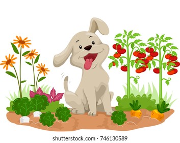 Illustration of a Happy Dog In the Middle of Vegetable Plants in the Garden